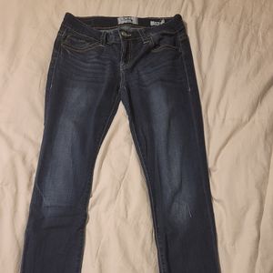 Daytrip Lynx Skinny Jeans